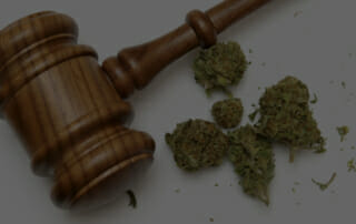 Recreational marijuana laws in Nevada