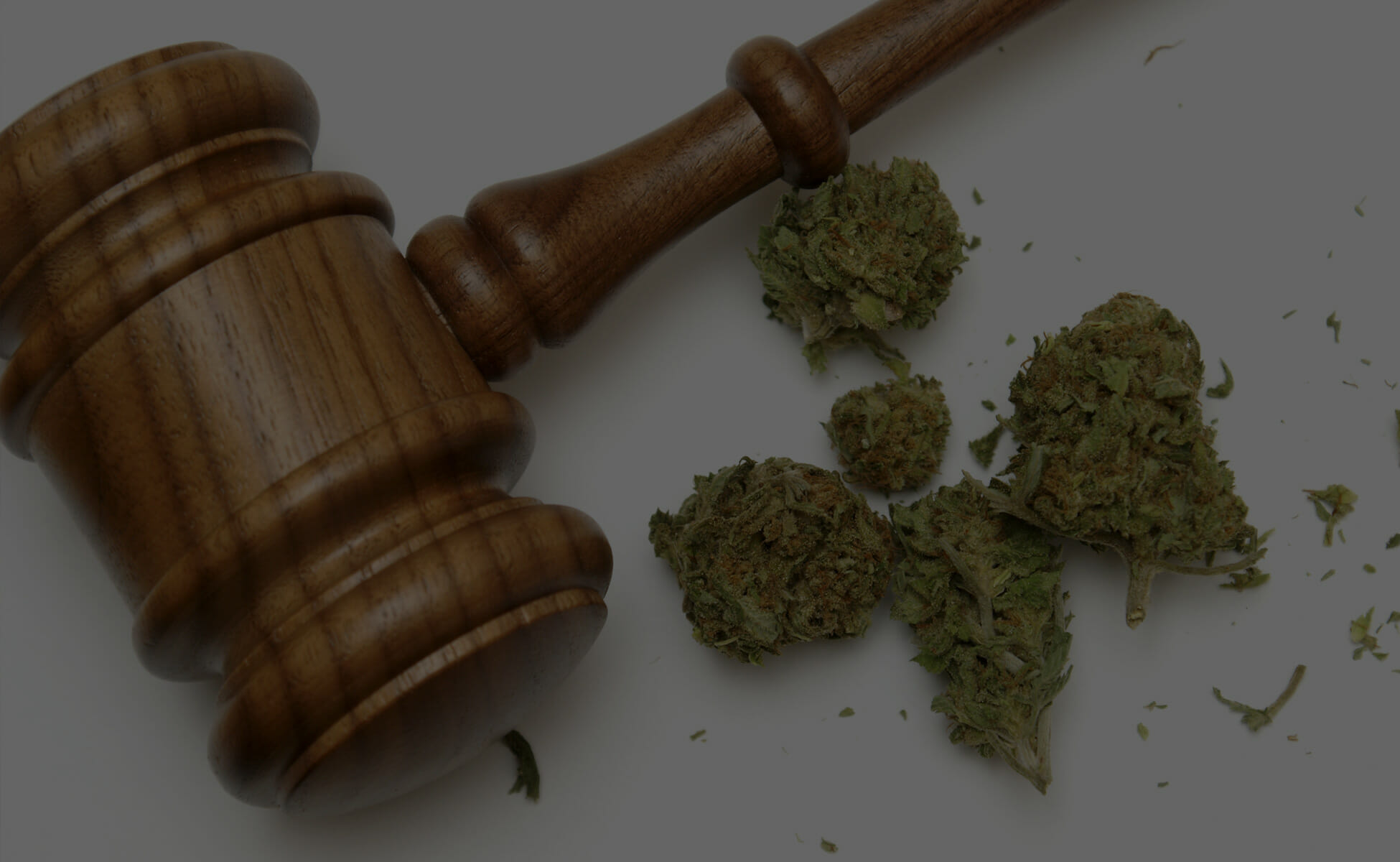 Recreational marijuana laws in Nevada