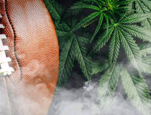 The Impact of Marijuana in Sports
