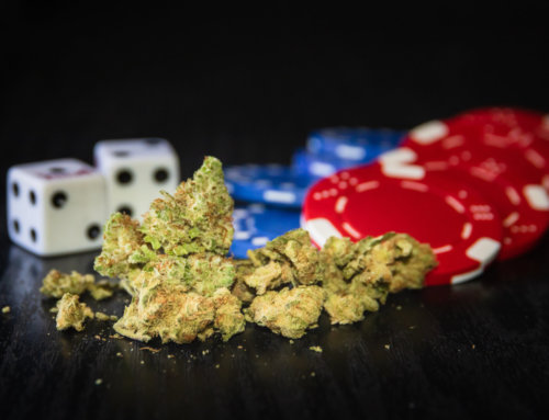 Nevada Cannabis Consumption Lounges Legalization