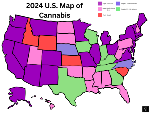 Updated States That Have Legalized Cannabis