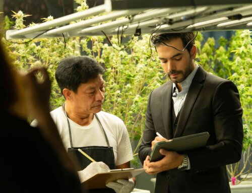 How a Lawyer Can Aid Cannabis Entrepreneurs in Starting and Growing their Business