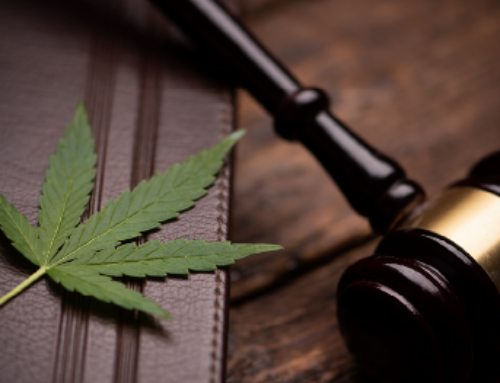 How to Stay Compliant with Cannabis Licensing Regulations in Nevada