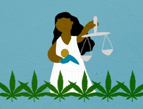 Cannabis Advocacy 101: What Advocates Do and Why It Matters